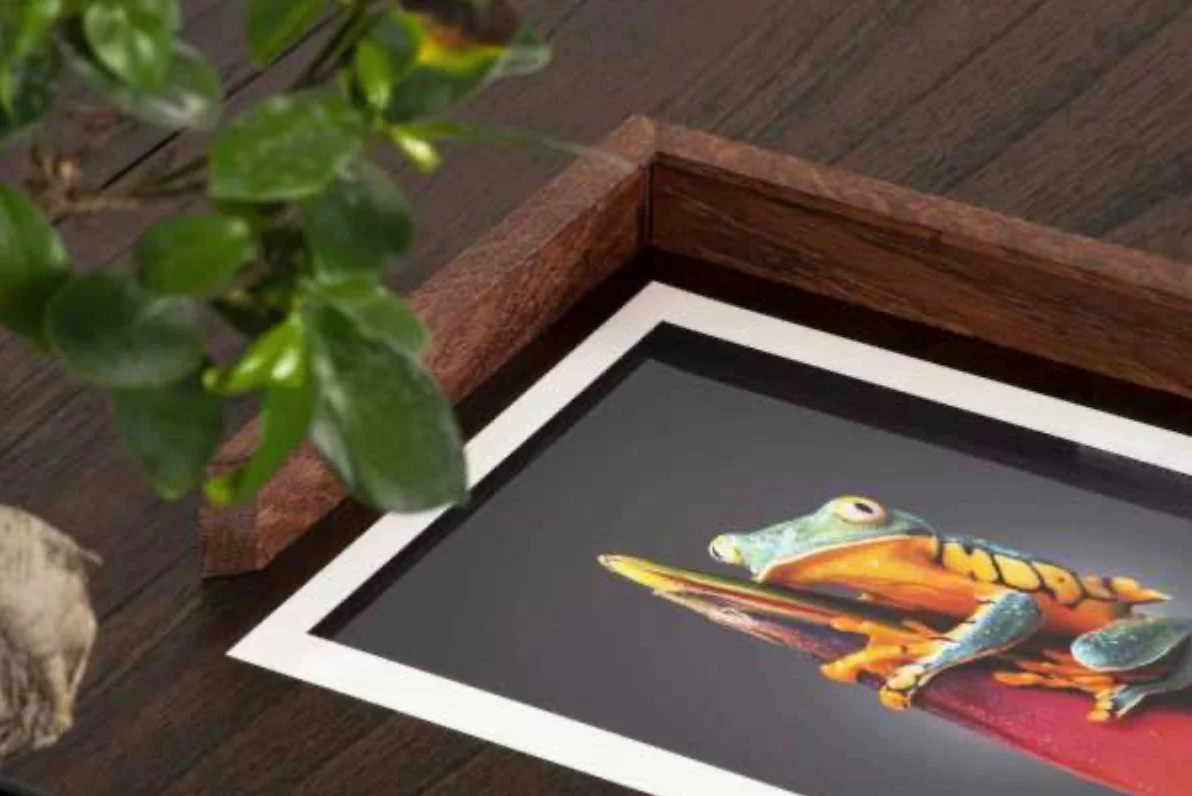 Çerçeve & Aksesuar